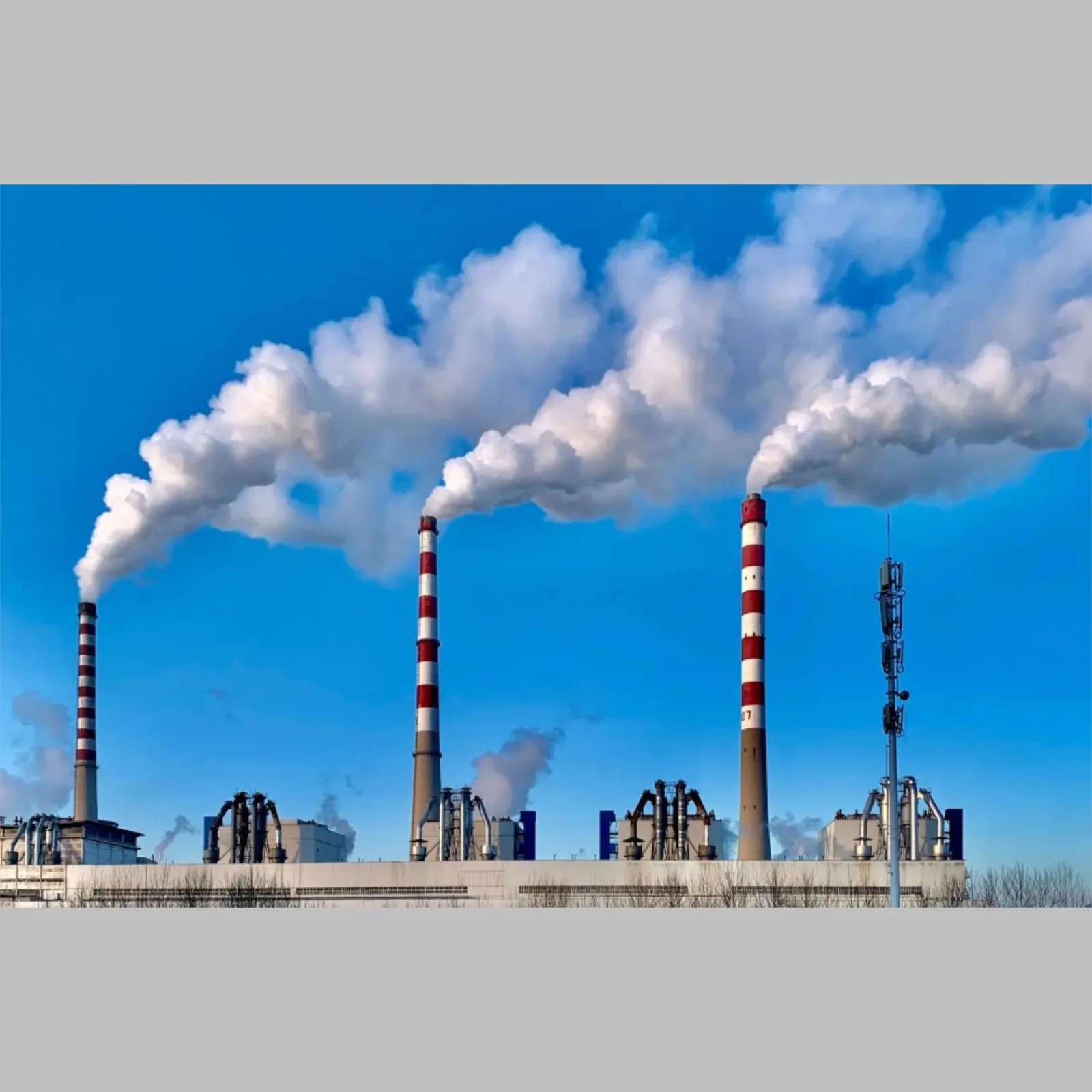 Understanding Air Pollution: Sources, Types, and Health Impacts